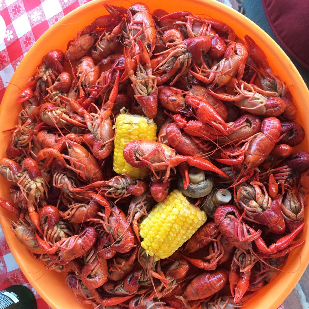Zatarain's Crawfish, Shrimp & Crab Boil 4.5 lb – Resealable Bulk Seasoning for Campside and Driveway Boils