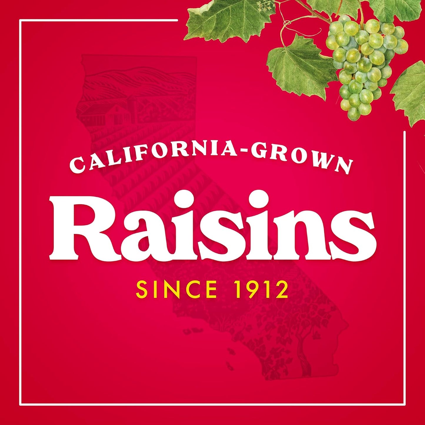 zero grams of fat per serving