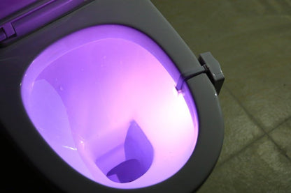 ZEZHOU Toilet Night Light – Valentine and Father’s Day Gag Gift for Him, Motion Activated Bathroom LED for Husband and Grandpa