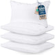 White - King (Pack of 4)